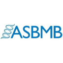 https://media.caboodleai.net/associations/companies/ceced88f-48a7-4f84-8f3d-942a866addec.org.png